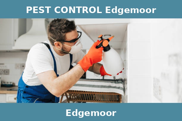 PEST CONTROL Edgemoor